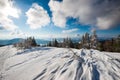 Beautiful bewitching view of the pine and spruce