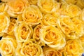 Beautiful big bouquet of yellow roses for the background