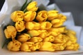 Beautiful big bouquet of yellow tulips in a white package on white table and gray wall background close up. Congratulation. Royalty Free Stock Photo