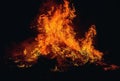 Beautiful big fire on black night background. Royalty Free Stock Photo