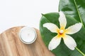 Beautiful big green ficus leaves tropical flower candle wood board white background. Organic Cosmetics Wellness spa body care Royalty Free Stock Photo