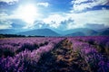 Beautiful big lavender field in Bulgaria with mountains in the background.Violet flowers blooming. Amazing nature shot. Royalty Free Stock Photo