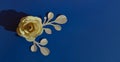 beautiful big paper flowers. stylish decor for a holiday and walls in the interior. background for the design.