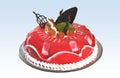 Beautiful big pink, fruit & Chocolate Birthday cake Royalty Free Stock Photo