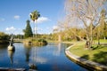 Beautiful Big pond in the center of the Sydney Royal botanic garden.