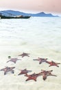 Beautiful big red starfish on the hand,starfish amazing structure on the Phu quoc island, Royalty Free Stock Photo