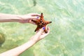 Beautiful big red starfish on the hand,starfish amazing structure on the Phu quoc island, Royalty Free Stock Photo