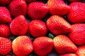 Beautiful big red strawberries lined up next to each other. Strawberries on the market for sale