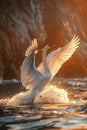a beautiful big size swan taking off from a lake, ai Royalty Free Stock Photo