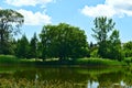 A beautiful big tree on a lake bank with clear blue sky and trees in the background in Jarry Park, Montreal, QC. Love, care, Royalty Free Stock Photo