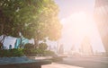 Beautiful big tree and plants on the rooftop of a modern glass building in Asia, adjusted image warm lighting ambient, space for Royalty Free Stock Photo