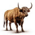 Beautiful wild beast bull looking forward is shown in full length, Ai generated