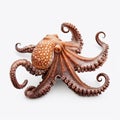 Beautiful big wild octopus looking forward is shown in full length, Ai generated Royalty Free Stock Photo