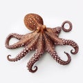 Beautiful big wild octopus looking forward is shown in full length, Ai generated Royalty Free Stock Photo