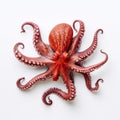 Beautiful big wild octopus looking forward is shown in full length, Ai generated Royalty Free Stock Photo