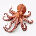 Beautiful big wild octopus looking forward is shown in full length, Ai generated Royalty Free Stock Photo