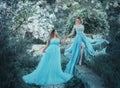 A beautiful big woman is holding a fragile blonde girl in her hand. Two princesses in luxurious blue dresses against the