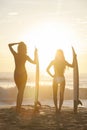 Beautiful Bikini Women Surfers & Surfboards At Beach Royalty Free Stock Photo