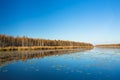 Beautiful Birch Forest And Lake, Pond, River In Autumn Season. S Royalty Free Stock Photo