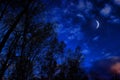 Beautiful birch trees against the blue sky with clouds and moon Royalty Free Stock Photo