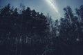 Beautiful birch trees at night against the blue starry sky and milky way. Night landscape background