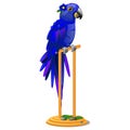 Beautiful bird blue parrot sitting on a wooden perch isolated on white background. Vector cartoon close-up illustration. Royalty Free Stock Photo