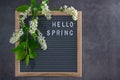 Beautiful bird cherry tree flowers frame with hwllo spring text. Mayday tree blossom branches with wooden frame on grey