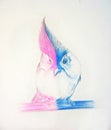 Beautiful Bird with colour pencil sketching. Royalty Free Stock Photo