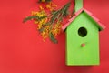 Beautiful bird house and mimosa flowers on red background, flat lay. Space for text Royalty Free Stock Photo