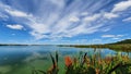 Beautiful bird pond. Cattail reed and small lake in the background. HjÃÂ¤lstavikens naturreservat, Sweden