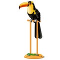 Beautiful bird toucan sitting on a wooden perch isolated on white background. Vector cartoon close-up illustration. Royalty Free Stock Photo