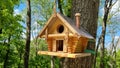 a beautiful birdhouse for birds on a tree in the middle of the forest. Royalty Free Stock Photo