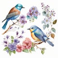 Beautiful Birds and Butterflies on a Watercolor Branch for Invitations and Scrapbooking.