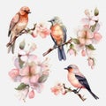 Beautiful Birds and Butterflies on a Watercolor Branch for Invitations and Scrapbooking.