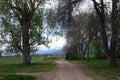 Bitterroot Mountains near Hamilton, Montana