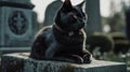 Beautiful black cat sitting on abandoned grave in cemetery in forest.