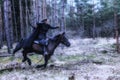 Beautiful black dressed woman in historical costume fired an arrow from a bow while riding a horse, monochrome glamor