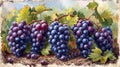 Beautiful Black Grapes Vineyard in Turkey AI Generated Royalty Free Stock Photo