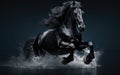 Beautiful black horse running gallop in water on black background Royalty Free Stock Photo
