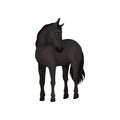 Beautiful black horse standing isolated on white background. Animal with hooves, flowing mane and long tail. Flat vector Royalty Free Stock Photo