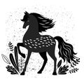 Beautiful black horse vector illustration isolated on white Royalty Free Stock Photo