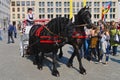 Beautiful black horses, mane braided, beautiful rider, tourists, near the Branderbug Gate in the center of Berlin