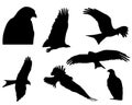 Beautiful black kite Silhouette of Eagles vector illustration Royalty Free Stock Photo