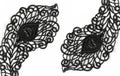 Beautiful black lace border Royalty Free Stock Photo