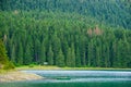 Beautiful Black Lake, Green Forest and Beautiful Mountains in the Morning. National Park Durmitor, Montenegro Royalty Free Stock Photo