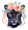 Beautiful black panther portrait with boho rose flowers wreath. Jungle animal watercolor illustration on white background Royalty Free Stock Photo