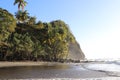 Anse Couleuvre Black Sand Beach Martinique Islands Caribbean Sea