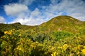 Beautiful black sand Whatipu Beach in Huia Royalty Free Stock Photo