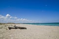 Beautiful Black Sea Beach, Shabla, Bulgaria Royalty Free Stock Photo