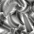 Beautiful black seamless tropical jungle floral pattern background with palm leaves